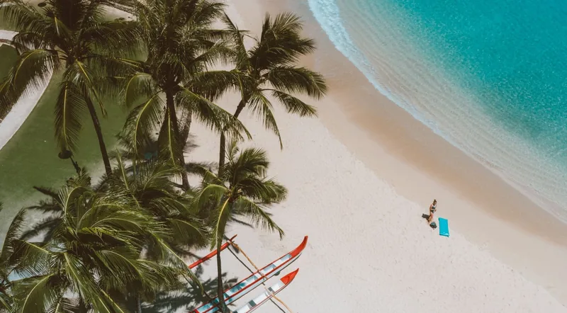 Overhead view of outrigger canoes and palms on a Hawaiian beach beside clear turquoise shallows
